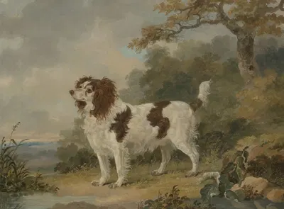 A Spaniel in a Landscape by Генри Бернард Шалон — digital art print download