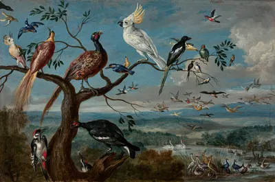 Le concert des oiseaux by Ян Ван Кессель Старший — digital art print download