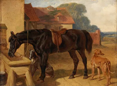 A Horse Drinking by Джон Фредерик Херринг-старший, 1854 — digital art print download