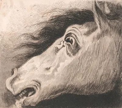 Head of a Horse by Эдвард Прайс Оуэн — digital art print download