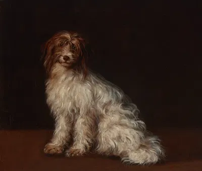 A long-haired terrier by Ричард Косвэй — digital art print download
