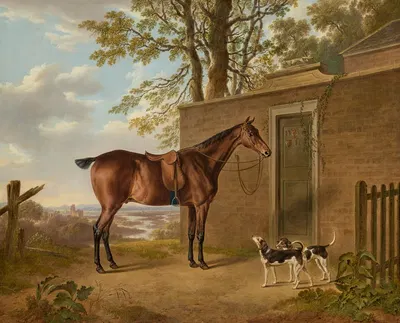 A saddled bay hunter with two hounds outside a stable by Чарльз Таун, 1815 — digital art print download