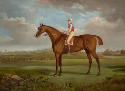 Mr Charles Taylor's chestnut colt 'Regulus', by 'Young Morwick' out of 'Princess', with a jockey up at Chester by Чарльз…
