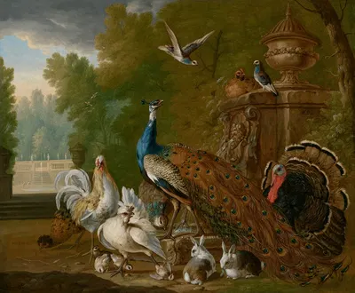 A peacock, turkey, cockerel, hen, pigeons, other birds and rabbits in a park landscape by Pieter Casteels III, 1721 —…