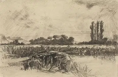 Водяное луг by Фрэнсис Сеймур Хейден, 1859 — digital art print download
