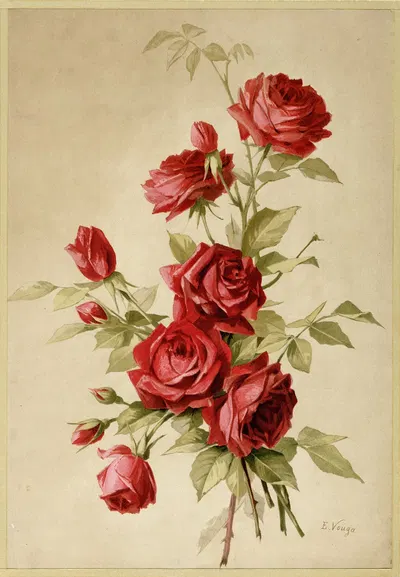 Rose Jaqueminot by E. Vouga — digital art print download