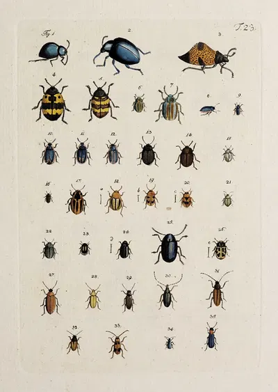 Archives de l'histoire des insectes Pl.24 by Johann Caspar Fuessli, 1794 — digital art print download