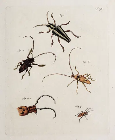 Archives de l'histoire des insectes Pl.34 by Johann Caspar Fuessli, 1794 — digital art print download