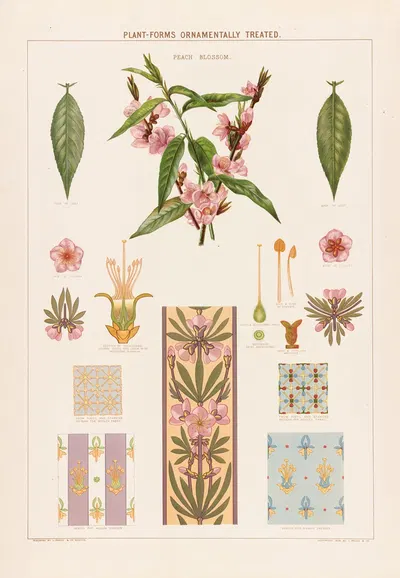 Peach blossom by Grace Carter, 1874 — digital art print download