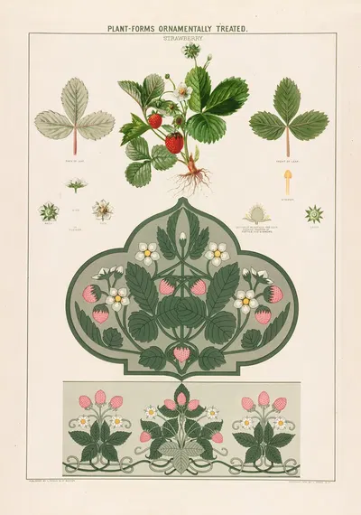 Strawberry by Grace Carter, 1874 — digital art print download