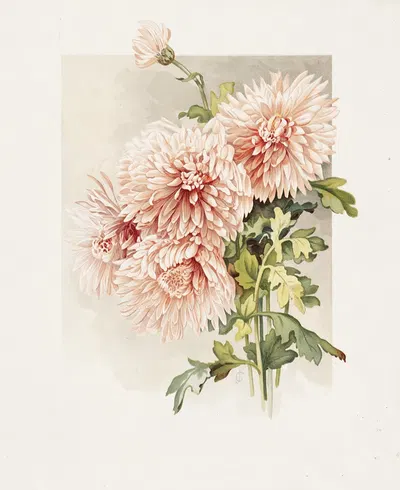 Chrysanthemums by James Callowhill, 1861–1897 — digital art print download