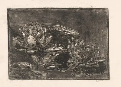 Waterlelies by Janus de Winter — digital art print download