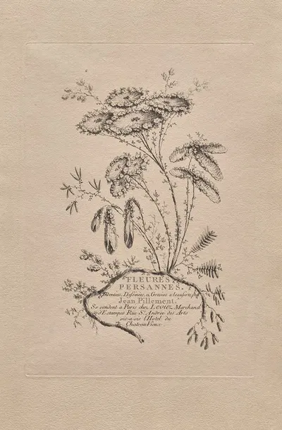 Persian Flowers Pl.1 by Жан-Батист Пилеман, 1755 — digital art print download