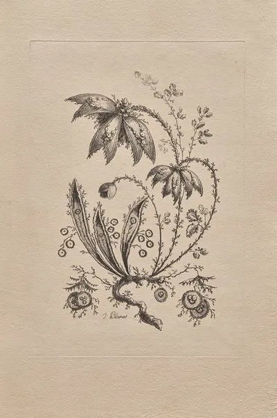 Persian Flowers Pl.3 by Жан-Батист Пилеман, 1755 — digital art print download