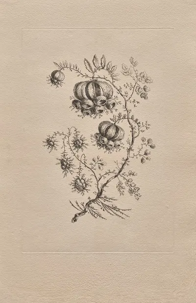 Persian Flowers Pl.4 by Жан-Батист Пилеман, 1755 — digital art print download