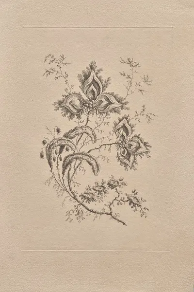 Persian Flowers Pl.5 by Жан-Батист Пилеман, 1755 — digital art print download