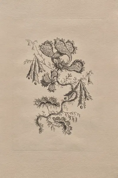 Persian Flowers Pl.6 by Жан-Батист Пилеман, 1755 — digital art print download