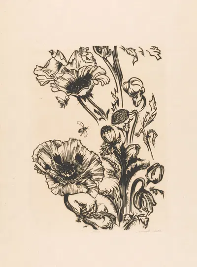 Studie papavers by Иоганнес Фредерик Энгельберт тен Клоостер, 1920 — digital art print download