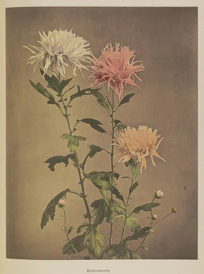 Kin-sui-ro by Kazumasa Ogawa, 1896 — digital art print download
