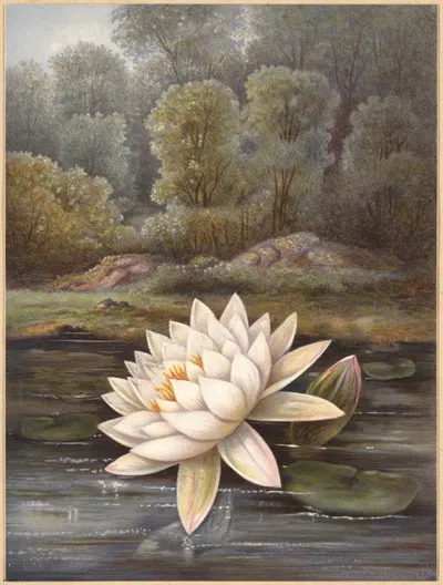 The lily pond by Olive E Whitney, 1876 — digital art print download