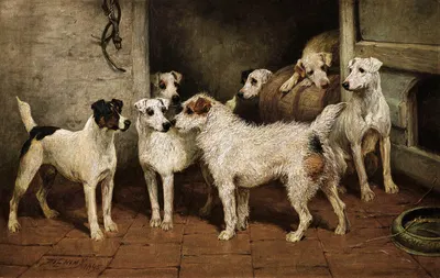 Terriers at a Stable Door, 'A Distant Relative' by John Emms, 1895 — digital art print download