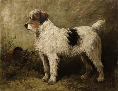 Terrier in a Garden by Джон Эмс — digital art print download