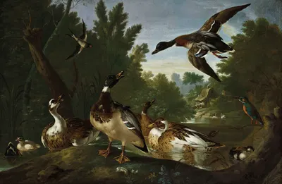 Ducks, a goldfinch, a kingfisher and swans along a river by Pieter Casteels III, 1729 — digital art print download