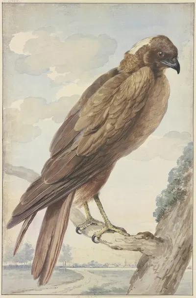 A kite by Аерт Шоуман, 1755 — digital art print download