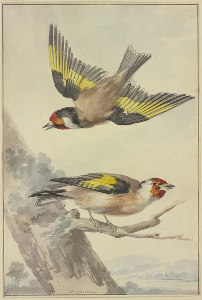 Two goldfinches by Аерт Шоуман — digital art print download