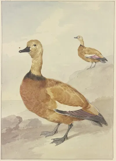 Two red ducks by Аерт Шоуман — digital art print download