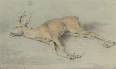 Zur Strecke gebrachter Rehbock by Карл Кунц, 1830 — digital art print download