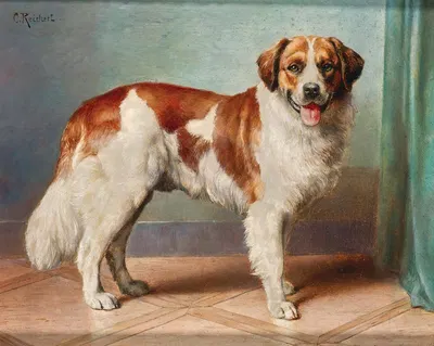 A St Bernard by Carl Reichert — digital art print download