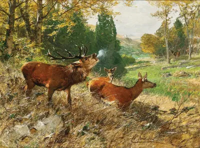 Red Deer in a Forest Glade by Кристиан Кренер, 1905 — digital art print download