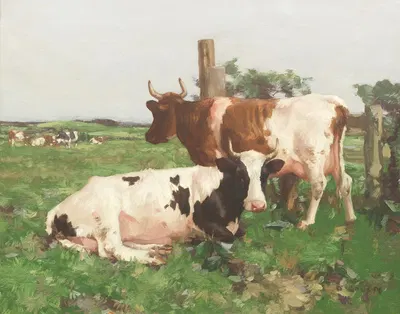 Ayrshire Cattle by Дэвид Голд — digital art print download
