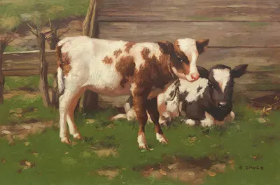 Calves Outside a Barn by Дэвид Голд — digital art print download