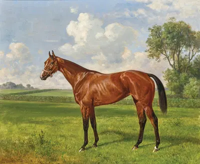 La Camargo, Poulinière à Jardy by Эмиль Адам, 1905 — digital art print download