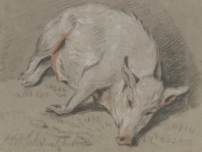 Liegendes Schwein by Hendrik Willem Schweickhardt — digital art print download
