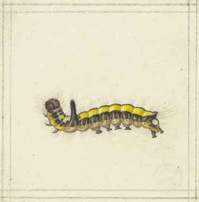 A yellow caterpillar by Herman Henstenburgh — digital art print download