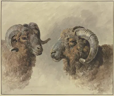 Two sheep by Jacob van Strij — digital art print download