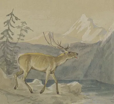 Ein verwundeter Hirsch sucht Labung an einem Gebirgssee by Johann Erdmann Gottlieb Prestel — digital art print download