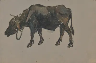 A buffalo. by Иоганн Непомук Раух — digital art print download