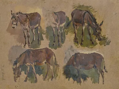 Five mules by Иоганн Непомук Раух, 1841 – 1847 — digital art print download