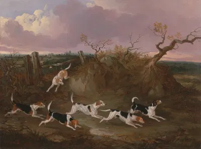 Beagles in Full Cry by John Dalby, 1845 — digital art print download