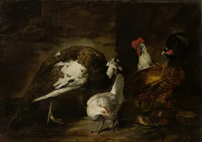 Poultry Yard with Peacock and Peahen by Марио Нудзи, 1601-1700 — digital art print download
