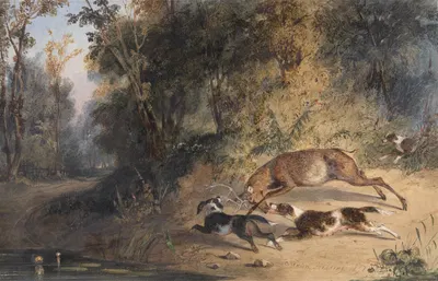 Deerhound and Bitch Cornering a Stag at the Edge of a Woodland Pool by Ньютон Лимбирд Смит Филдинг, 1832 — digital art…