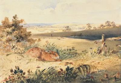 Hare in a Landscape by Newton Limbird Smith Fielding, 1827 — digital art print download