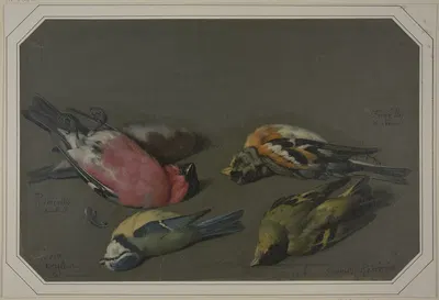 Five dead birds by Philipp Ferdinand de Hamilton — digital art print download