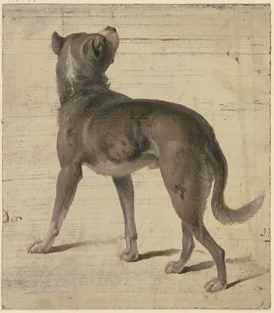Dog by Филипп Румпф — digital art print download