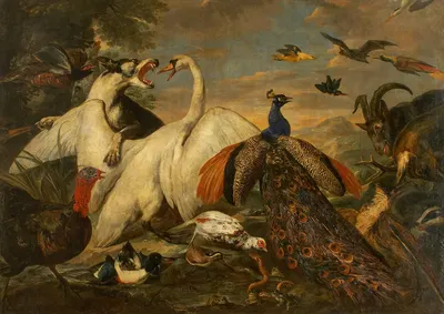 Fighting Animals as Allegory of the Combat between Virtue and Vice by Pieter Boel — digital art print download