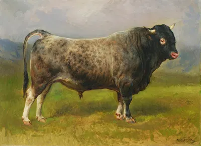 Le taureau gris by Роза Бонёр — digital art print download